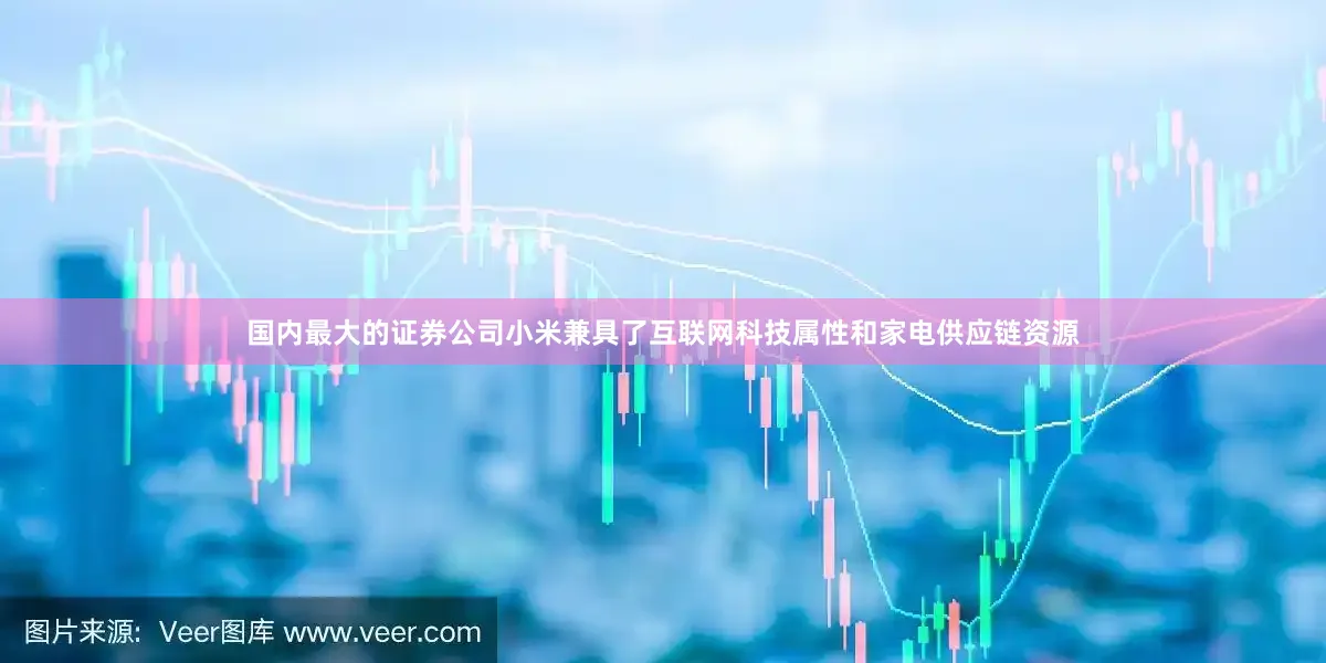 国内最大的证券公司小米兼具了互联网科技属性和家电供应链资源