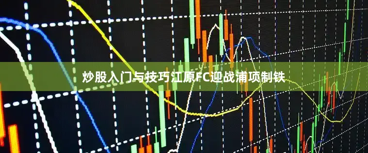 炒股入门与技巧江原FC迎战浦项制铁